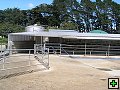 thn_NZ leden-unor 2006 098.jpg